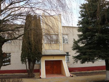 Пішохідні доріжки на території дитсадка у селі неподалік Луцька не ремонтували більше 30 років. ФОТО