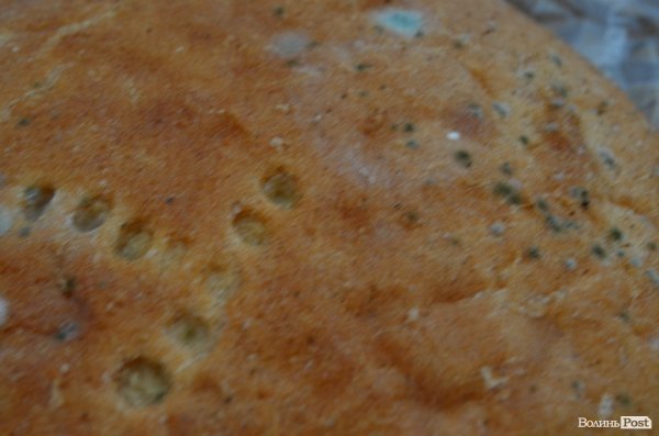 Теремнохліб