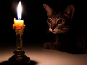 Через пожежу на підстанції декілька сіл на Волині – без світла