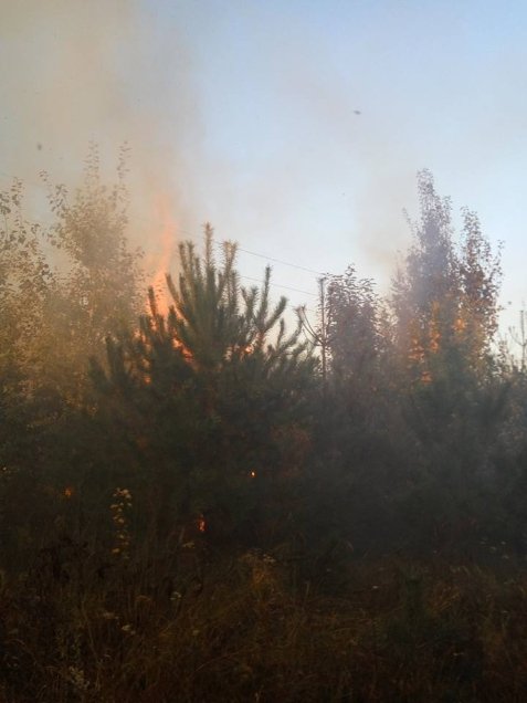 У Ківерцівському районі горів ліс. ФОТО