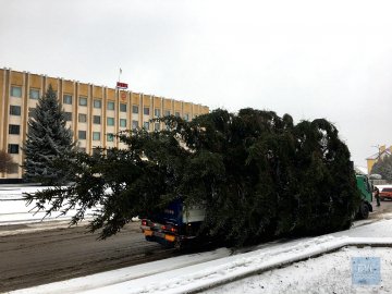 У Нововолинську під час встановлення розвалилася головна ялинка міста. ФОТО