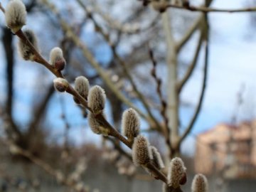 10 березня – яке сьогодні свято: чому в цей день не можна працювати чоловікам