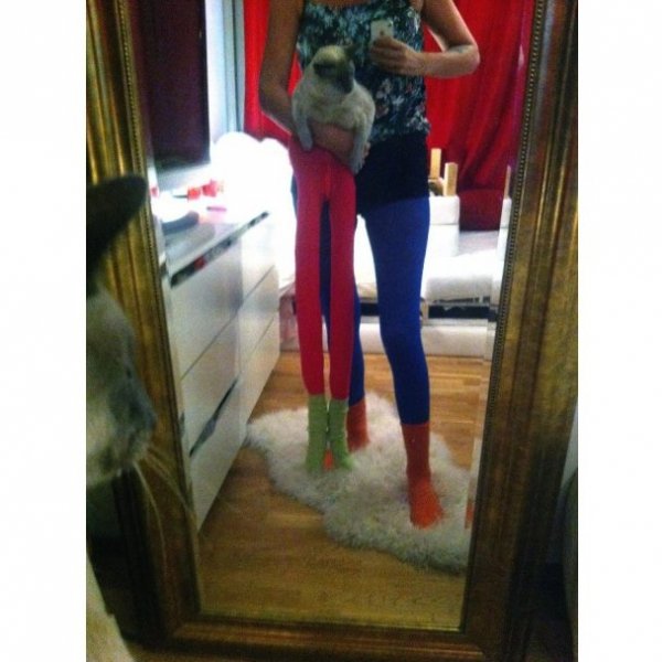 Нове інтернет-захоплення: фотографують котів у колготках. ФОТО