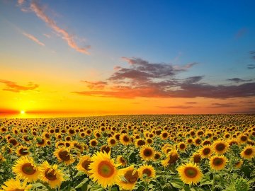 Якою буде погода на Волині у суботу, 26 серпня