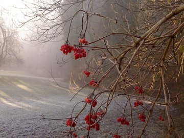 Погода у Луцьку на завтра, 21 листопада