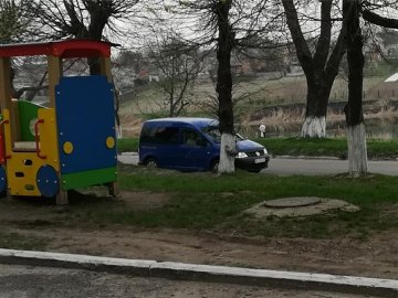 У Нововолинську жінка хотіла позбутися кота, якого сама ж і вкрала. ФОТО