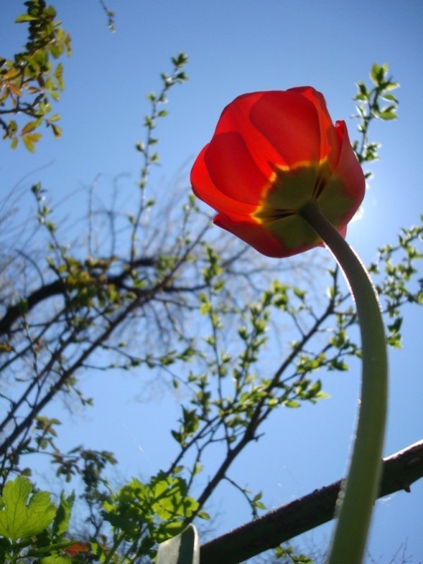 Фотовиставка Валентини Жуги