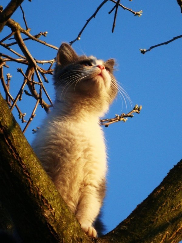 Фотовиставка Валентини Жуги