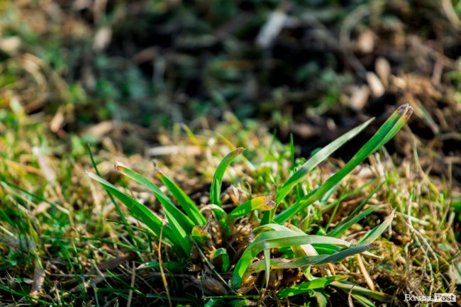 У Луцьку – майже весна. ФОТОРЕПОРТАЖ