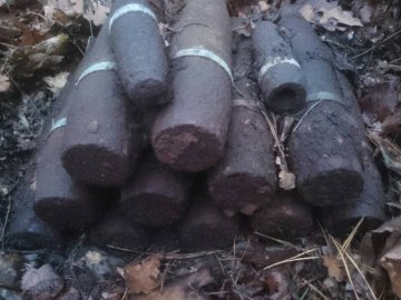 Волинські селяни у лісі шукали гриби, а знайшли боєприпаси