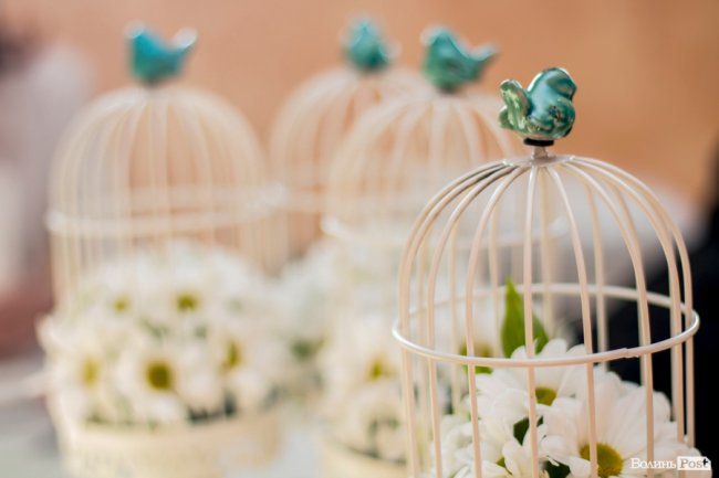 Бенкет, лімузини та королівські наряди: у Луцьку організували  свято для людей з інвалідністю. ФОТО