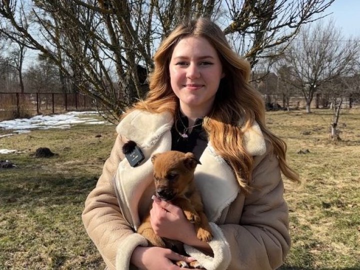 На Волині школярі зняли відео для ТікТок, щоб знайти господарів для цуценят