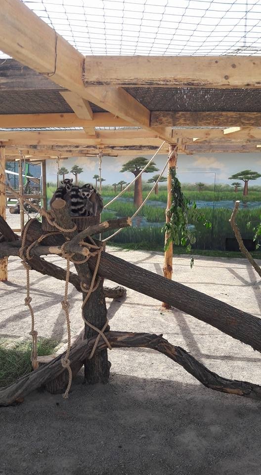 Вольєри без кордонів: чим відрізняється Одеський біопарк від Луцького зоопарку. ФОТО