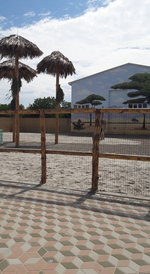 Вольєри без кордонів: чим відрізняється Одеський біопарк від Луцького зоопарку. ФОТО