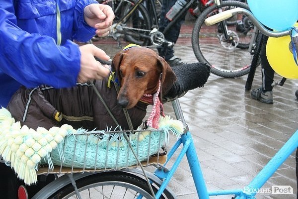 Велодень у Луцьку. ФОТО