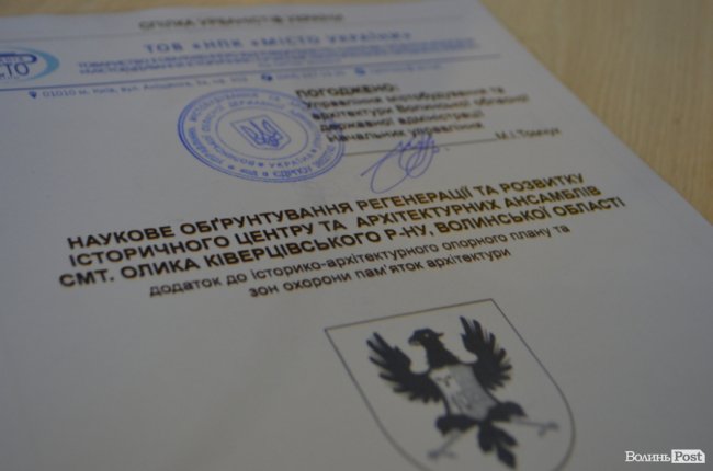 Відновити замок та збудувати ратушу: як планують «відроджувати» Олику. ФОТО