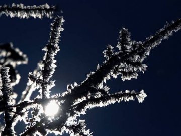 Цього тижня на українців чекають морози до -8 градусів