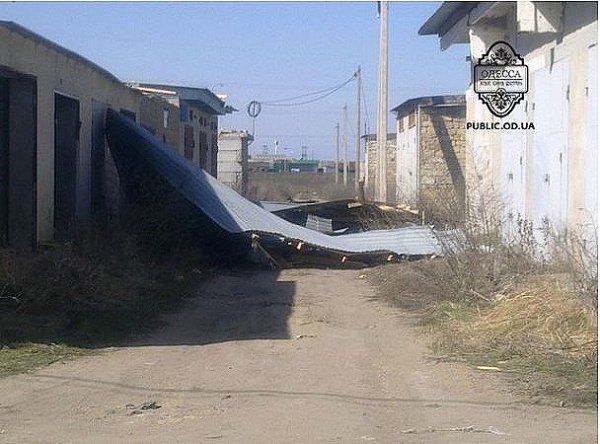 Вітер в Одесі валив дерева на машини. ФОТО