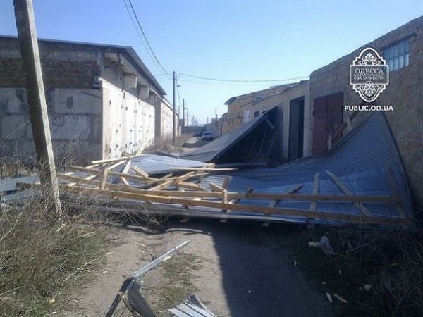 Вітер в Одесі валив дерева на машини. ФОТО