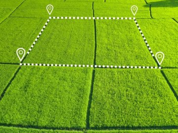 Сільрада на Волині привласнила державну землю, - прокуратура