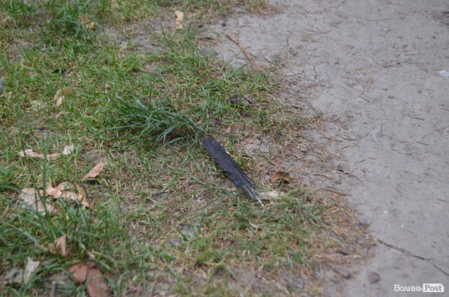 Тушки ворон і курячий послід: лучанин нарікає на безлад поблизу гуртожитків. ФОТО