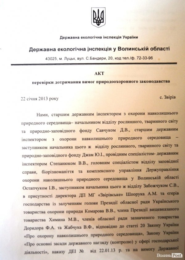 За рік у лісах Волині зникло більше половини зубрів. ДОКУМЕНТ  