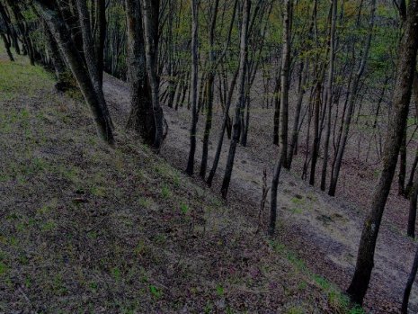 Моторошні місця України, від яких застигає у жилах кров. ФОТО