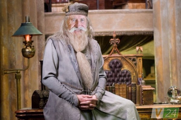 Відомих волинян «перевдягнули» в героїв Гаррі Поттера. ФОТО