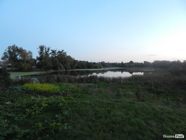 У Луцьку - конфлікт через дитячий майданчик. ФОТО