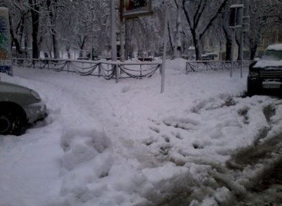 У Києві через негоду дерева падають на людей і розбивають машини. ФОТО