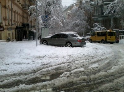У Києві через негоду дерева падають на людей і розбивають машини. ФОТО