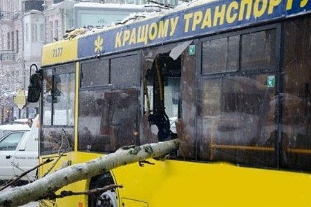 У Києві через негоду дерева падають на людей і розбивають машини. ФОТО