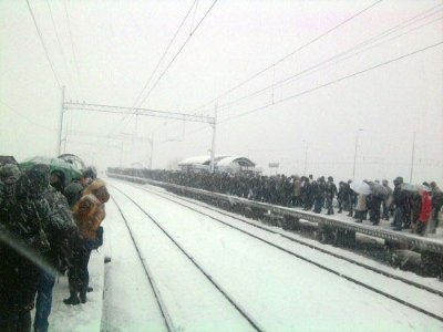 У Києві через негоду дерева падають на людей і розбивають машини. ФОТО