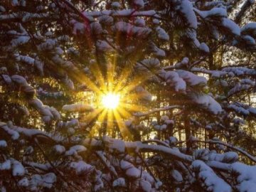 Погода в Луцьку та Волинській області на завтра, 24 лютого