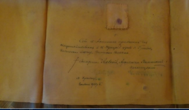 На Волині у поваленому дереві виявили неймовірну знахідку