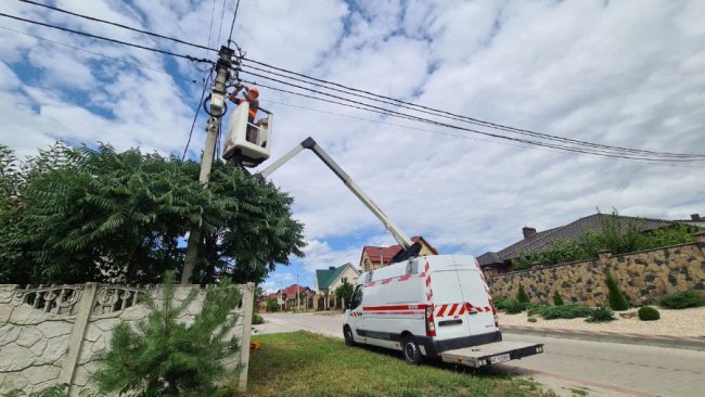 Заплутались у мотузках: у громаді на Волині врятували лелек. ВІДЕО