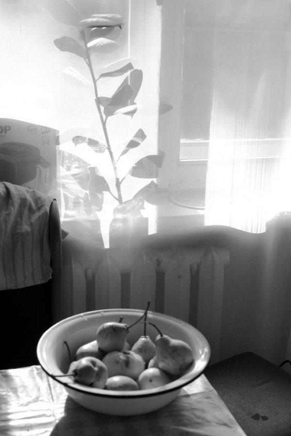 Фотовиставка Анни Лучії Лобос