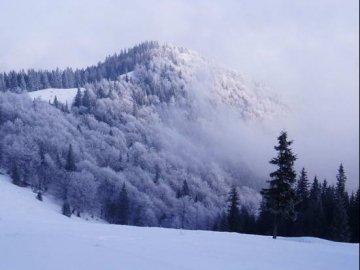 Рятувальники закликають утриматись від походів у Карпати через негоду