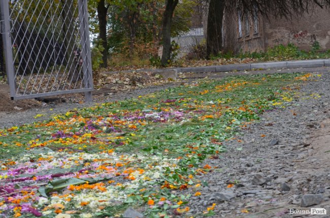 Килим із квітів та цілування рук: як у Луцьку зустріли Онуфрія. ФОТОРЕПОРТАЖ