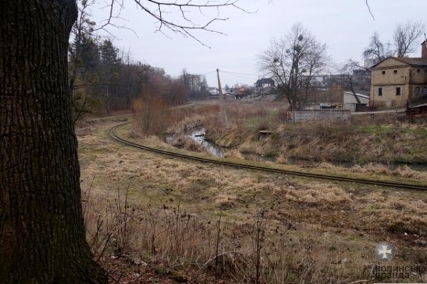 У Луцьку прибирають узбережжя Сапалаївки. ФОТО 