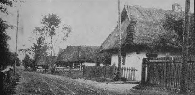 Село Кримне (Старовижівський район).