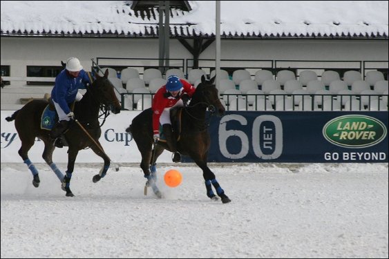 Зимове кінне поло