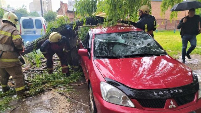 У Сумах буревій повалив дерева на автомобілі та будинки. ФОТО