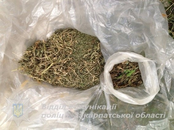 На Закарпатті в чоловіка вилучили 2 кілограма коноплі. ФОТО