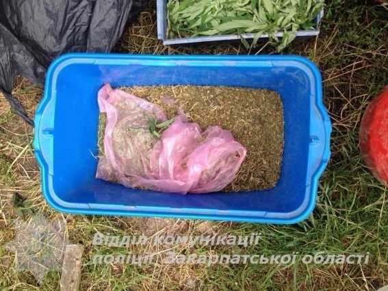 На Закарпатті в чоловіка вилучили 2 кілограма коноплі. ФОТО