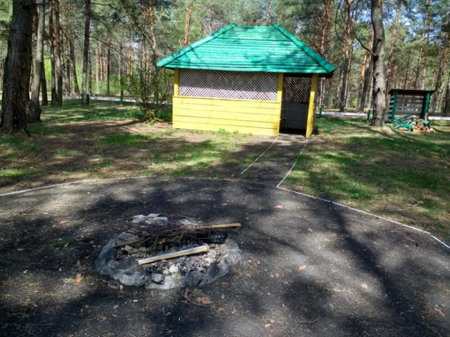 «Автомобілі їдуть повільніше, ніж я йду», – голландський мандрівник про волинські дороги. ФОТО