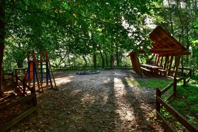 Дивовижні краєвиди волинського нацпарку на світанку. ФОТО