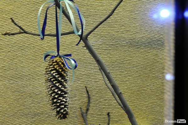 Луцьк напередодні Нового Року: як прикрасили місто