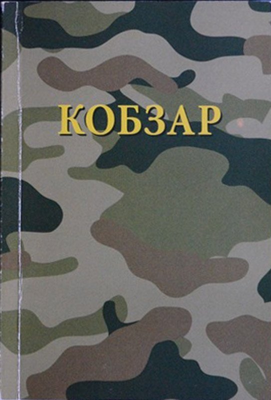 У луцькому музеї з'явилося унікальне видання «Кобзаря» для українських воїнів. ФОТО