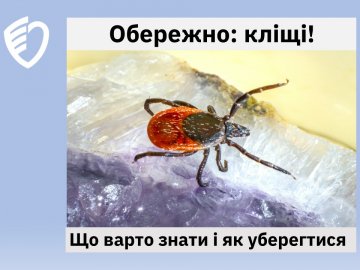 Медики попередили, що на Волині вже активізувалися кліщі